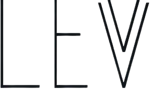 Levv Logo